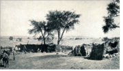 Thumbnail for File:Rancho en Monte de la Soledad -Salar Llamara por Bowman publicada 1924.png