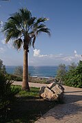 A sea view, Chloraka, Cyprus (IMGP1957p).jpg