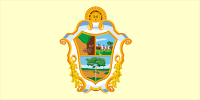 Flag of Manaus