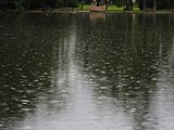 Deutsch: Teich im Englischer Garten in Meiningen, Thüringen