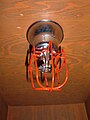 Shielded fire sprinkler