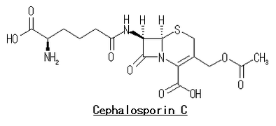 構造式 Cephalosporin C.png