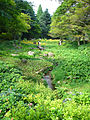 Rokko alpine botanical garden