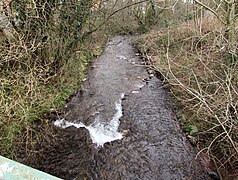 White water on Bettws Brook, Bettws, Newport - geograph.org.uk - 4847878.jpg