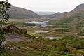 Killarney National Park - Ladies View