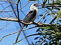 Female Tampa's Lowry Zoo