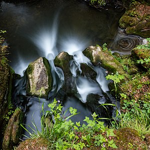 Waldbillig (LU), Schiessentümpel (2015)