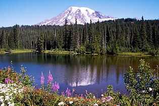 Reflection lake and Mount Rainier