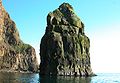 Basalt stack at the Faroe Islands. In Faroese, such a stack is called "stakkur"