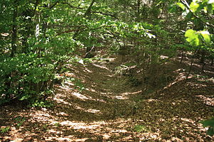 Burgstall Saufelsen - Blick in den Ringgraben, links die Burgstelle (August 2010)