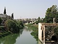 Orontes River in Hama