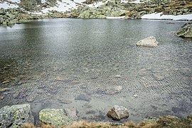 Peñalara (Madrid) - panoramio (16).jpg