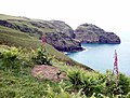 Bossiney Haven & Lye Rock