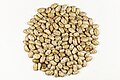 * Nomination Seeds of Pinto Beans --sanjay_ach 17:38, 23 May 2023 (UTC) * Promotion A bit noisy but ok --PantheraLeo1359531 17:46, 23 May 2023 (UTC)