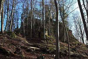 Burgruine Wildenfels - Ansicht des Burgfelsens aus westlicher Richtung (Januar 2012)