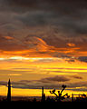 Mojave Desert Dawn