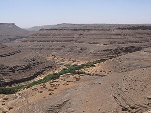 Oasis au Sahara