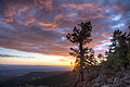 "-conservationlands15_Social_Media_Takeover,_Feb_15th,_BLM_Winter_Bucket_List,_Grand_Canyon-Parashant_National_Monument_in_Arizona_for_Its_Dark_Sky_Park_Status_(15920663453).jpg" by User:The Photographer