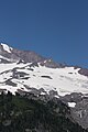 Paradise Glacier