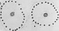 Monosiga ovata, section through two collars (TEM)