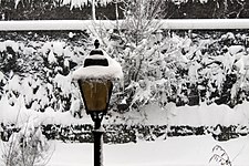 Street lamp in front of my house