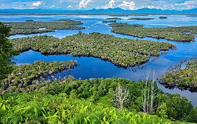 🥈 Taman Nasional Danau Sentarum oleh Raiyani Muharramah