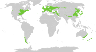 Biome map 04.svg