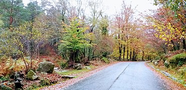 Paisagem do Parque Nacional da Peneda - Gerês 01.jpg