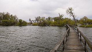 Adams County, CO, USA - panoramio - jtsmmm.jpg