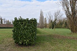 Ex Baluardo di San Rocco, Ferrara, 5.jpg