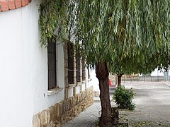 Royuela, Teruel 32.jpg