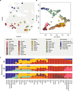 West-East African and Western Eurasian principal component analysis and ancestry component analysis.png