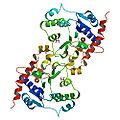 Glycogenin structure (Public Domain license).