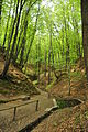 Yavorivskyi National Park