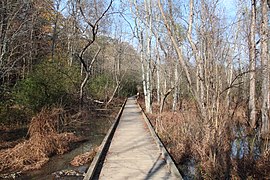 Boardwalk on the Cochran Shoals trail, Cobb County Nov 2017.jpg