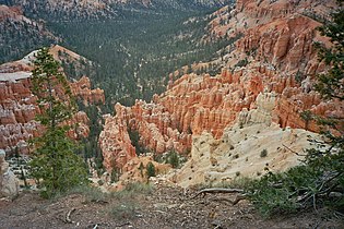 At Bryce Canyon National Park, Utah