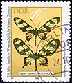 Stamp of German Democratic Republic. DDR. 10. Papilio hahneli