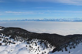 Panoramic view from La Dôle - panoramio (4).jpg