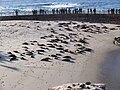 Children's Pool Beach