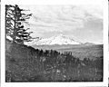 "View_of_the_snow-covered_Mount_Shasta,_and_neighboring_mountain_Shastina,_Siskiyou_County,_ca.1900-1940_(CHS-5080).jpg" by User:Fæ