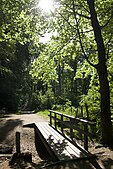 Footbridge in Park Schothors