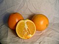 navel orange