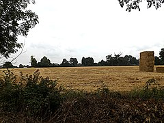 Fields looking towards The Manor House - geograph.org.uk - 4108054.jpg