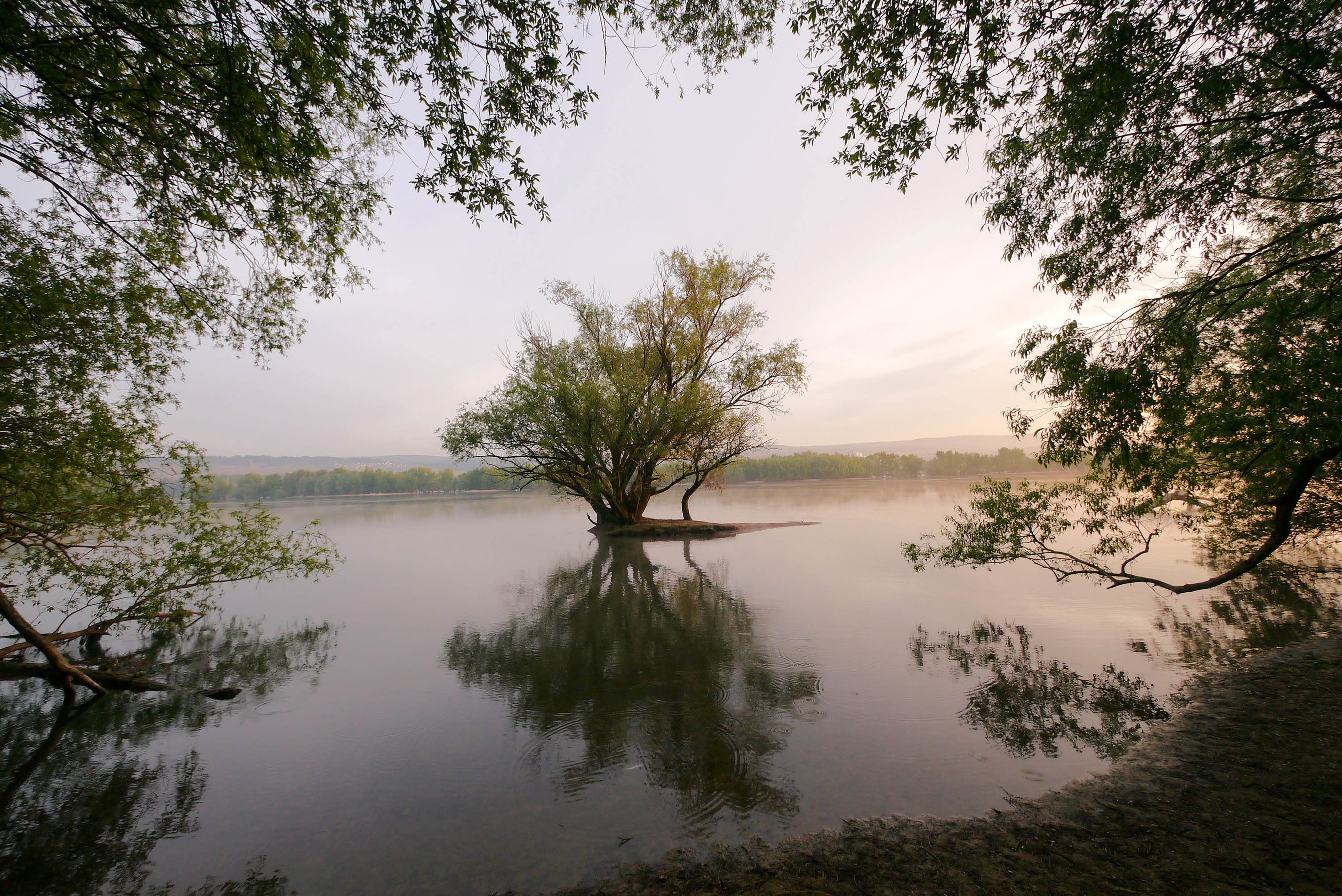 "Nature reserve Fulder Aue-Ilmen Aue, Rhineland-Palatinate" by User:Bodow