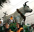 Boeuf Gras float, Rex parade