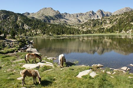 Lake Primer, Cirque of Pessons (Encamp) © Ferran Llorens