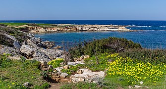 Coast in Karpaz, Northern Cyprus 07.jpg