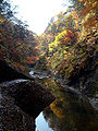 面白山青龍淵 Seiryū Valley in Mt. Omoshiroyama.