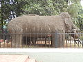 Elephant from Elephanta