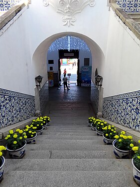 Stairs with plants